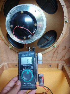 20240507_124634.jpg