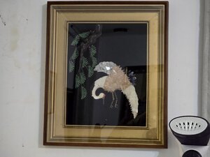 z5421926640116_915101fbf5586a40c94e2bed1beee483.jpg