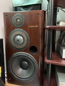 IMG_1531.jpeg