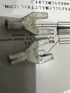 IMG_0206.jpeg