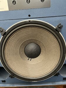 IMG_8760.jpeg