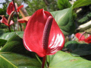 IMG_8912_small.jpg