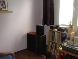 DSC08396.JPG