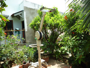 P1010655.JPG