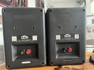 IMG_6540.jpeg