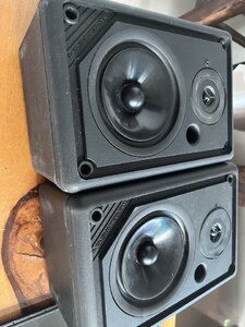 IMG_6538.jpeg