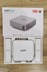 Wiim Amp, mini, Pro (14).jpg