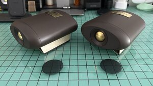 IMG_8137.jpeg