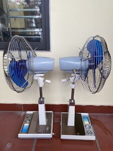 IMG_8321.jpeg