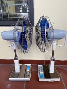 IMG_8325.jpeg