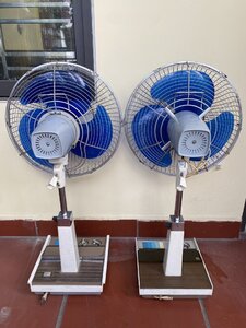 IMG_8328.jpeg