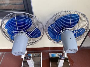 IMG_8329.jpeg