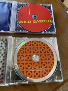 IMG_6707.jpeg