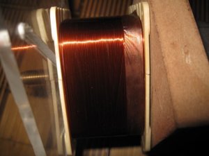 IMG_4321.JPG