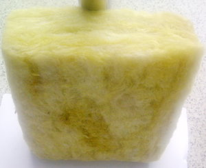 IMG-20130710-00019.jpg