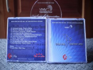 VNAVContest2013 (2).jpg