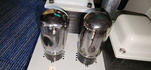 20240617_125517.jpg