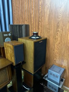 IMG_3654.jpeg