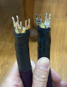 downloadfile (1).jpg