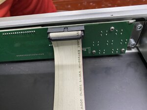 IMG_6942.jpeg