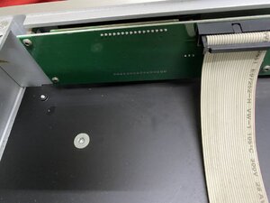 IMG_6943.jpeg