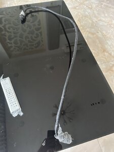 IMG_9491.jpeg