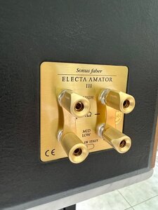 IMG_3812.jpeg