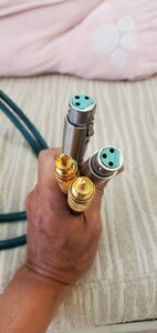 20240727_091317.jpg