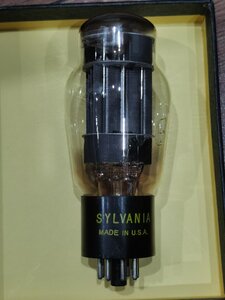 IMG_20240708_222841.jpg
