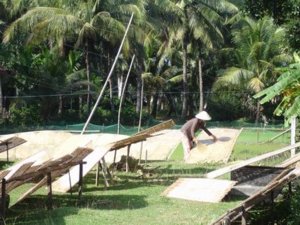 banhtrang.jpg