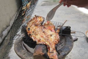 IMG_0471.JPG