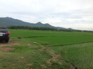 IMG_0492.JPG