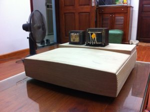 IMG_2631.jpg