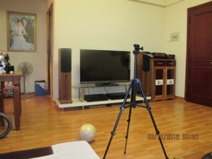 IMG_7334.jpg