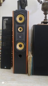 IMG_20240711_092153.jpg