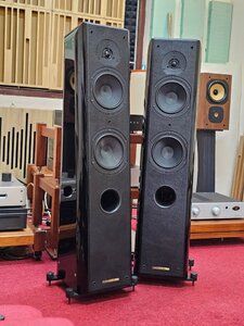 Sonus faber Grand Piano Home Used Price | HifiZero