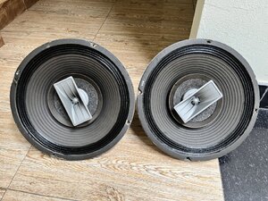 IMG_3954.jpeg