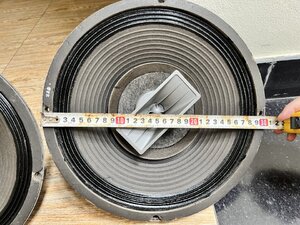 IMG_3955.jpeg