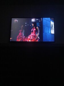 IMG_3313.jpeg