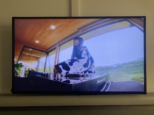 IMG_3318.jpeg