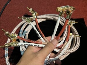 IMG_5701.jpeg