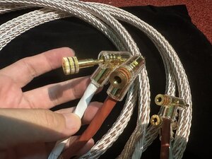 IMG_5703.jpeg