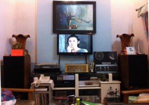 dan may kien vang (600 x 421).jpg