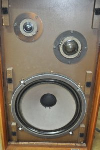 DSC_1579.JPG