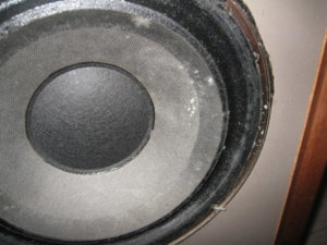 IMG_3711.JPG