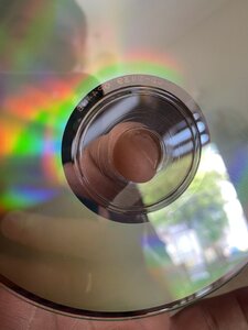 IMG_6355.jpeg