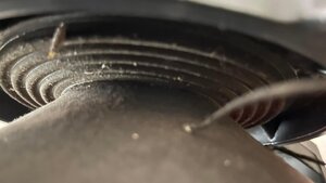 59A2E895-B4E4-490E-A2C3-CA339A9F12E8.jpeg