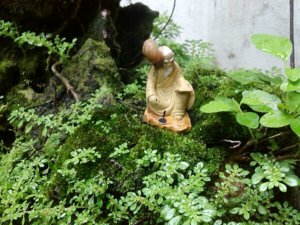 IMG_2013081141219.jpg