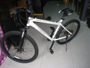 XE DAP.JPG