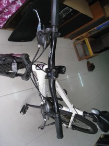 XE DAP.1.JPG